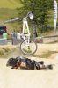 05_ARB_Beroche_8_Juin_2014_0351.jpg