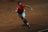 Davis_Cup_Friburg_10_Fev_2012_0088.jpg