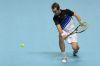 ATP_Finale_Londre_2013_3744.jpg