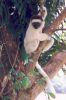 madagascar_003.jpg