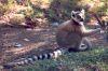 madagascar_005.jpg