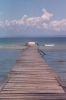 madagascar_006.jpg